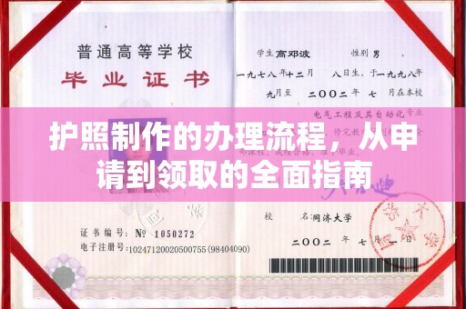 萨尔图护照制作的办理流程，从申请到领取的全面指南